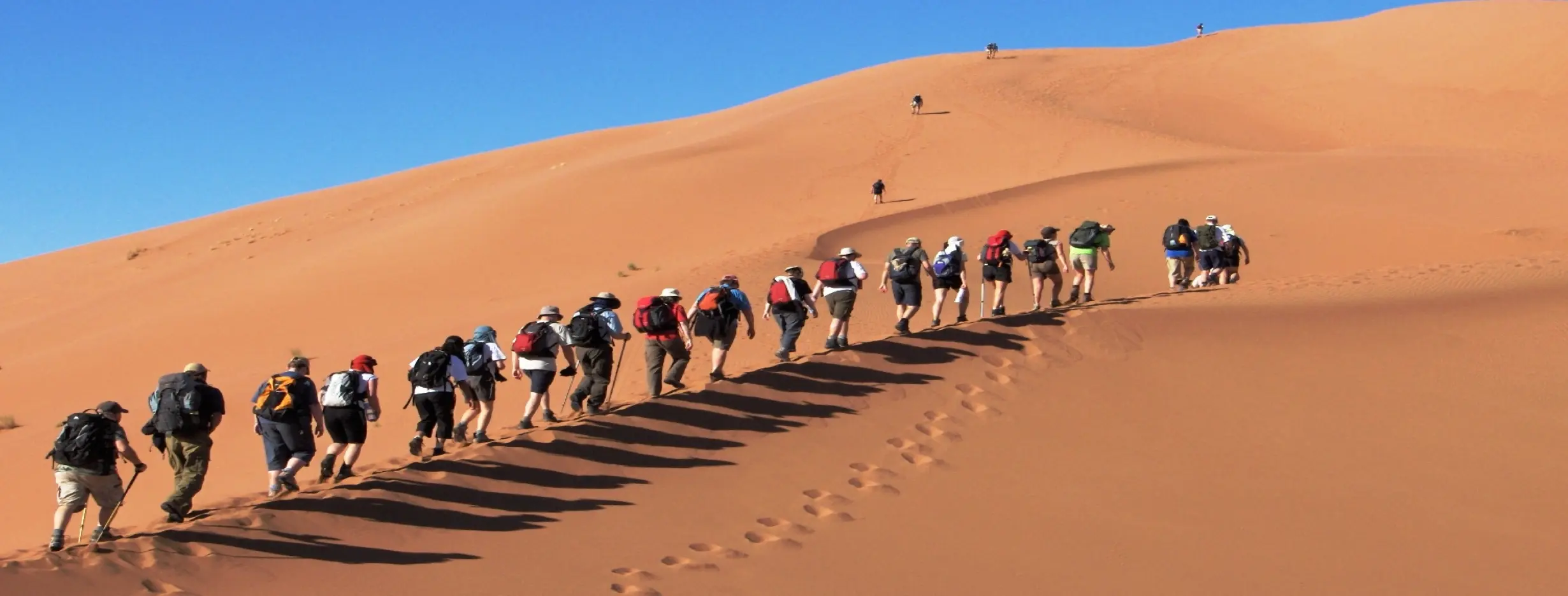 Image for Desert Trekking